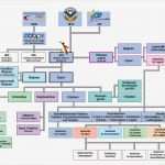 Organigramm Erstellen Vorlage Fabelhaft Fantastisch organisationsstruktur Diagramm Vorlage Fotos