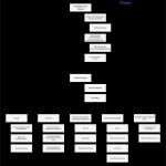 Organigramm Vorlage Bewundernswert Ausgezeichnet Horizontal organigramm Vorlage Bilder