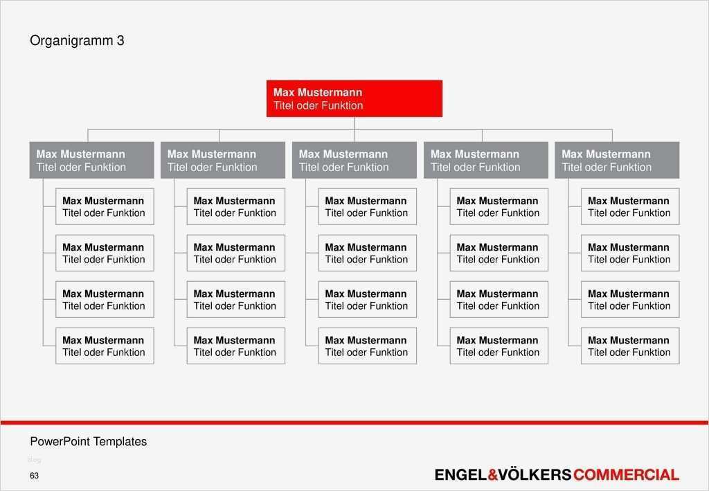 Organigramm Vorlage Erstaunlich Schön Vorlage organigramm Galerie Beispiel Anschreiben