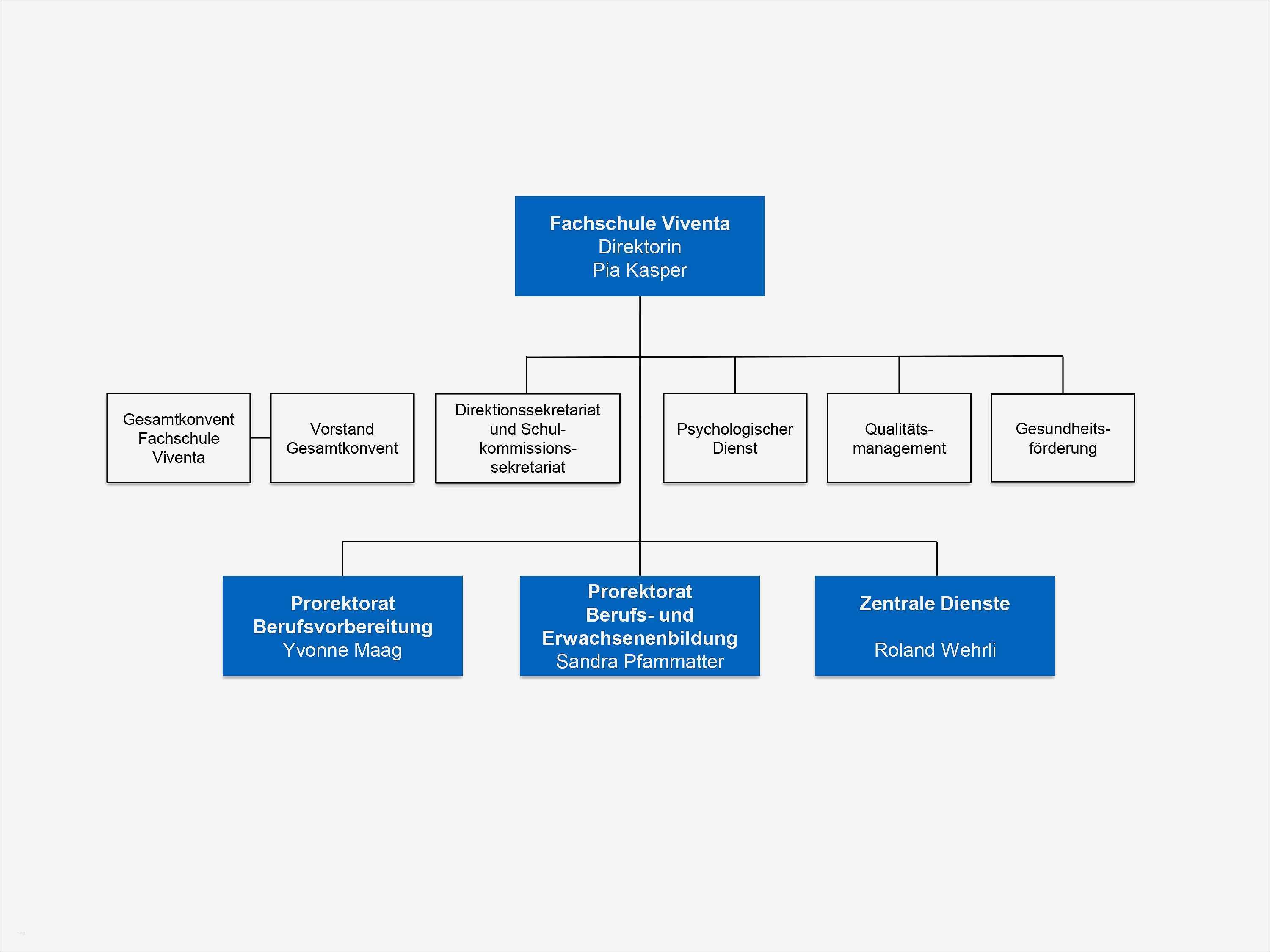 Organigramm Vorlage Leer Erstaunlich Charmant Leere organigramm Vorlage Zeitgenössisch