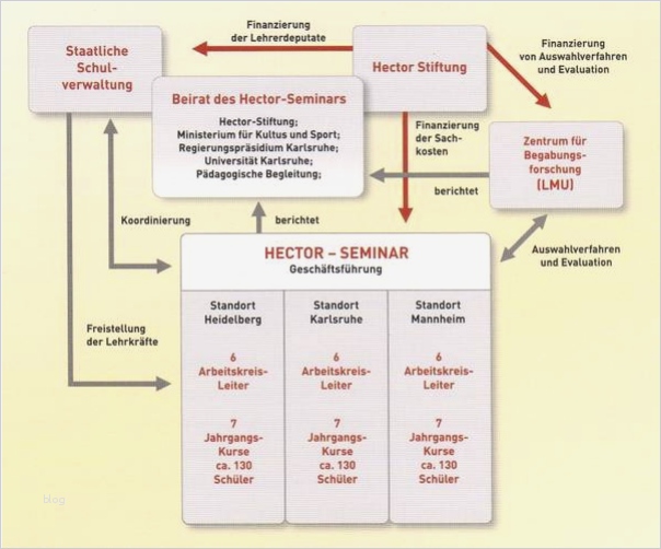 Organigramm Vorlage Leer Großartig Schön organisationsstrukturvorlage Bilder Entry Level