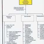 Organigramm Vorlage Leer Gut Aufgabenverteilungsplan Regionaler Stromversorger