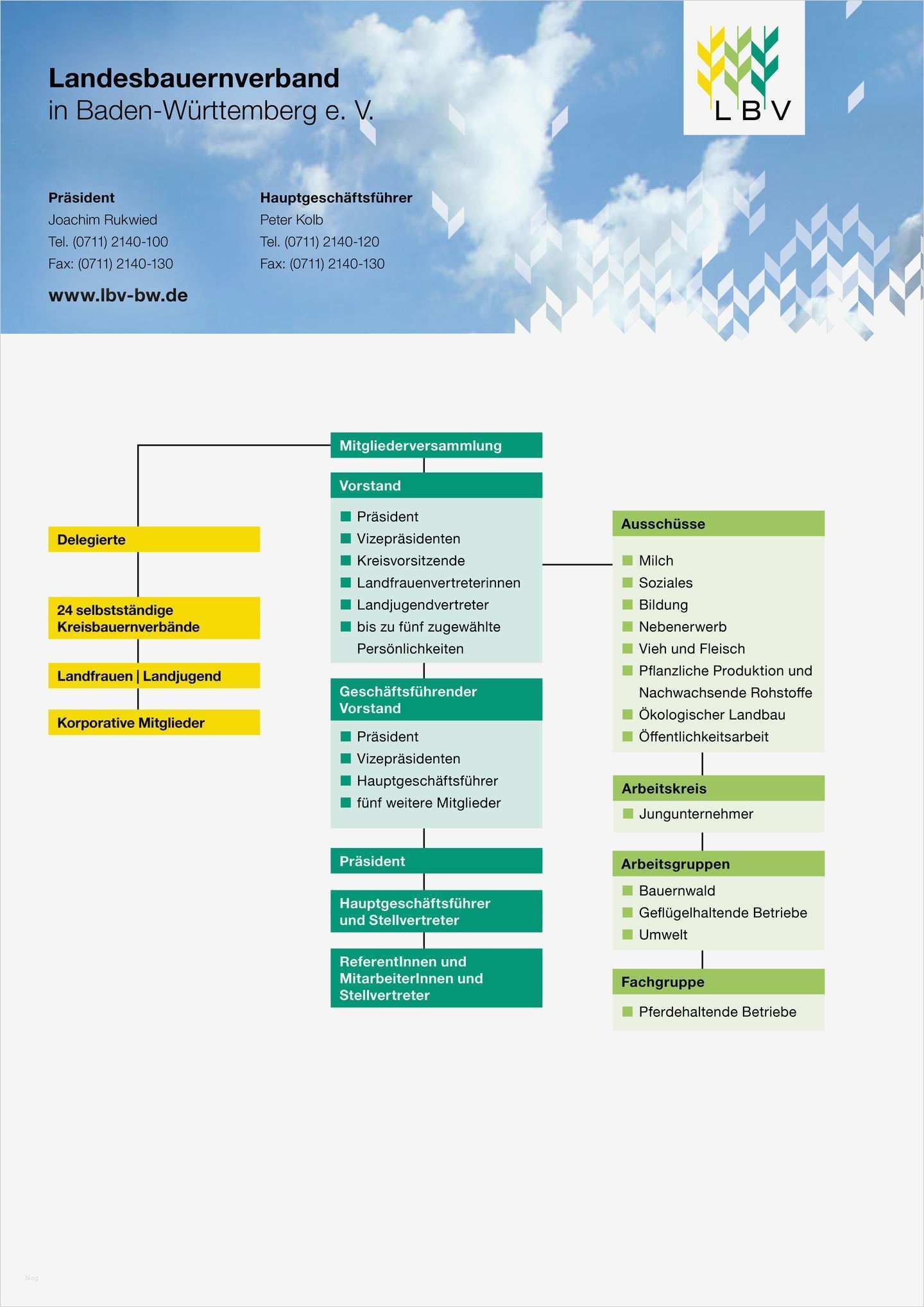 Organigramm Vorlage Leer Schönste Großartig organigramm Vorlagen Bilder Ideen fortsetzen