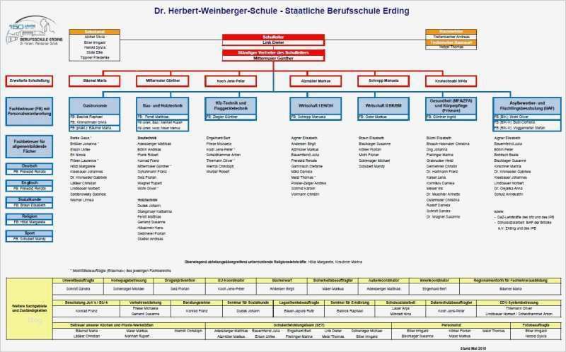 Organigramm Vorlage Mac Beste Ungewöhnlich Leere organigrammvorlage Fotos