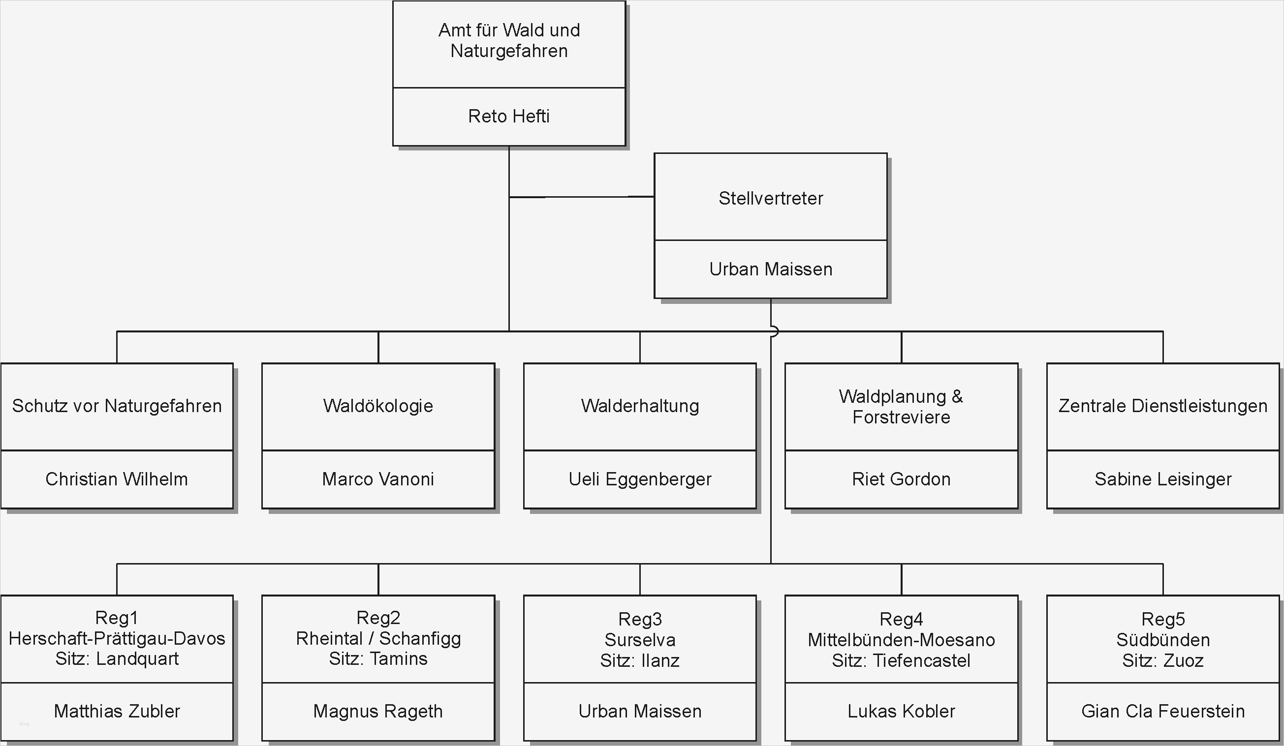 Organigramm Vorlagen Neu Schön organigramm Bilder Bilder Für Das Lebenslauf