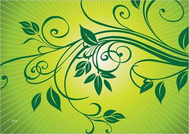 Ornamente Vorlagen Kostenlos Download Luxus Frische Natur ornamente Vektor