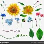 Paintball Gutschein Vorlage Gut Fein Vorlage Clipart Bilder Entry Level Resume Vorlagen