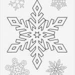 Papier Schneeflocken Vorlagen Erstaunlich 雪花简笔画图片大全画图片