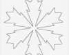 Papier Schneeflocken Vorlagen Gut Die Besten 25 Schneeflocke Vorlage Ideen Auf Pinterest