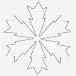 Papier Schneeflocken Vorlagen Gut Die Besten 25 Schneeflocke Vorlage Ideen Auf Pinterest