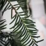 Papierhaus Basteln Vorlage Beste Für Kuschelige Adventabende Lichterkette Mit Diy