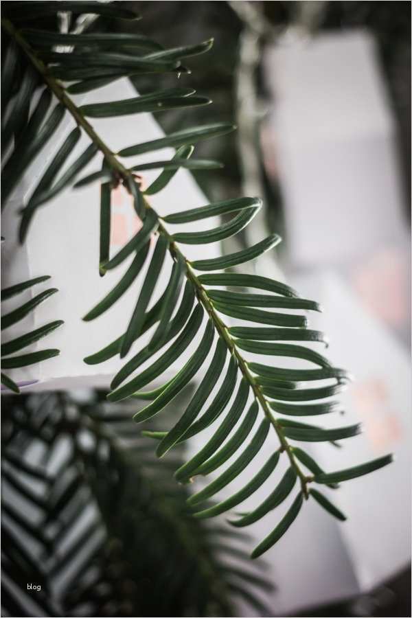 Papierhaus Basteln Vorlage Beste Für Kuschelige Adventabende Lichterkette Mit Diy