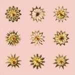 Papiersterne Schneiden Vorlagen Wunderbar Scherenschnitt Goldsterne Pdf