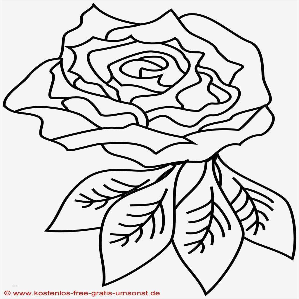 53 Einzigartig Partner Tattoos Vorlagen Kostenlos Ideen 1 Partner Tattoos Vorlagen Kostenlos Fabelhaft Armband Tattoo Vorlagen Kostenlos Celtic Armband Tattoo