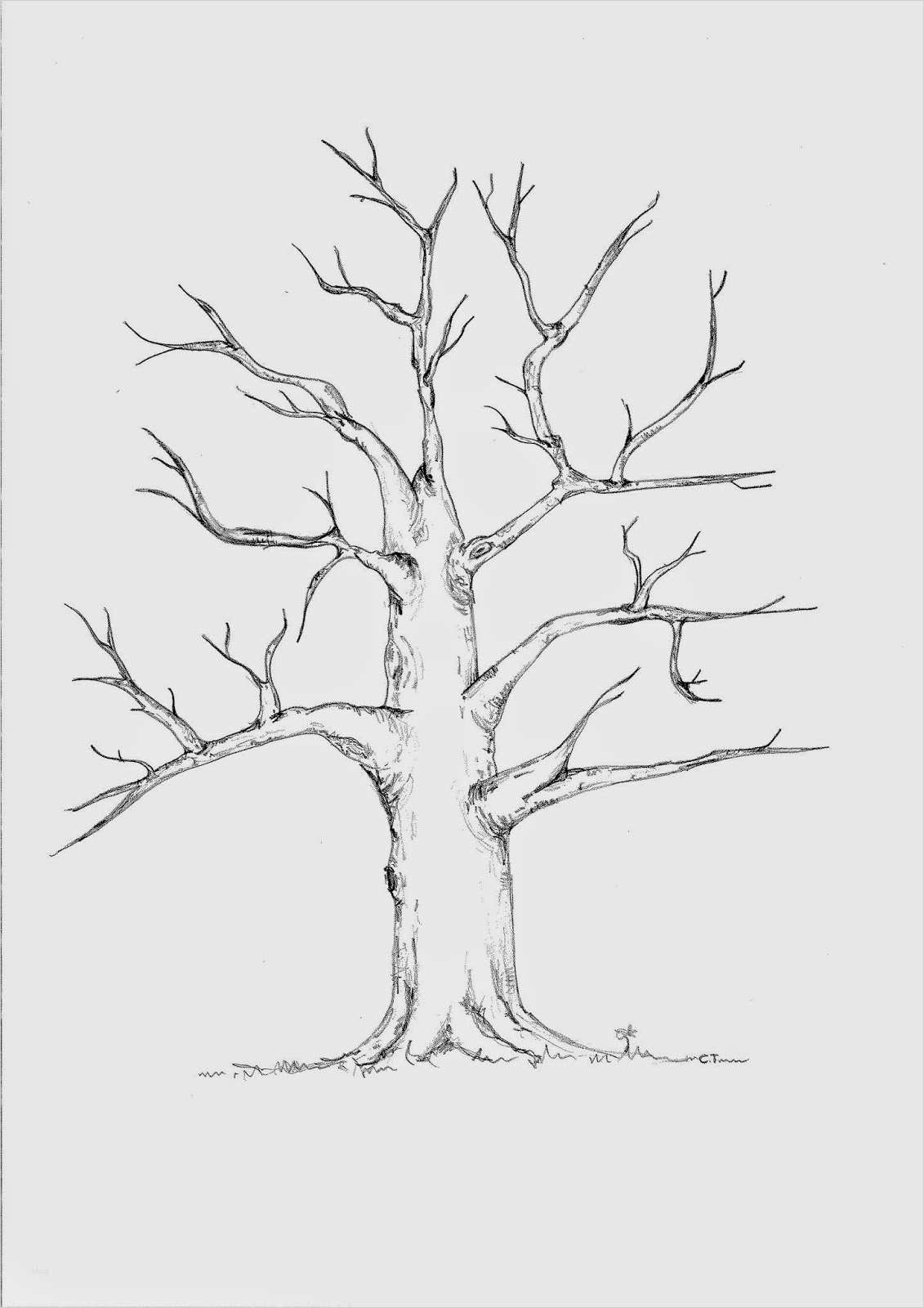 Passepartout Vorlagen Zum Ausdrucken Fabelhaft Hochzeitsbaum Wedding Tree