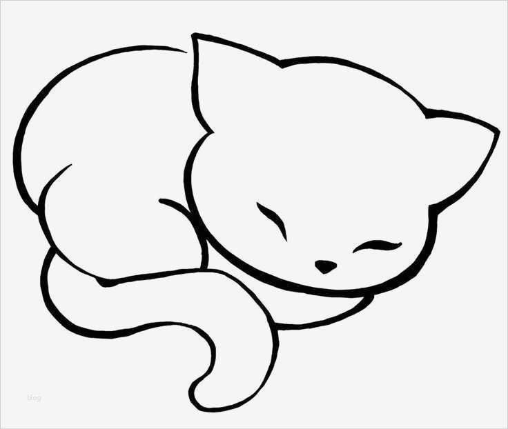 Passepartout Vorlagen Zum Ausdrucken Schönste Die Besten 25 Tierbilder Zum Ausmalen Ideen Auf Pinterest