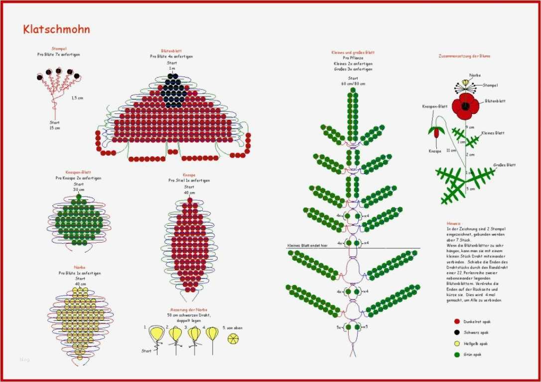 Perlentiere Vorlagen Wunderbar Afrikanische Weissbauchigel Zucht Blumen