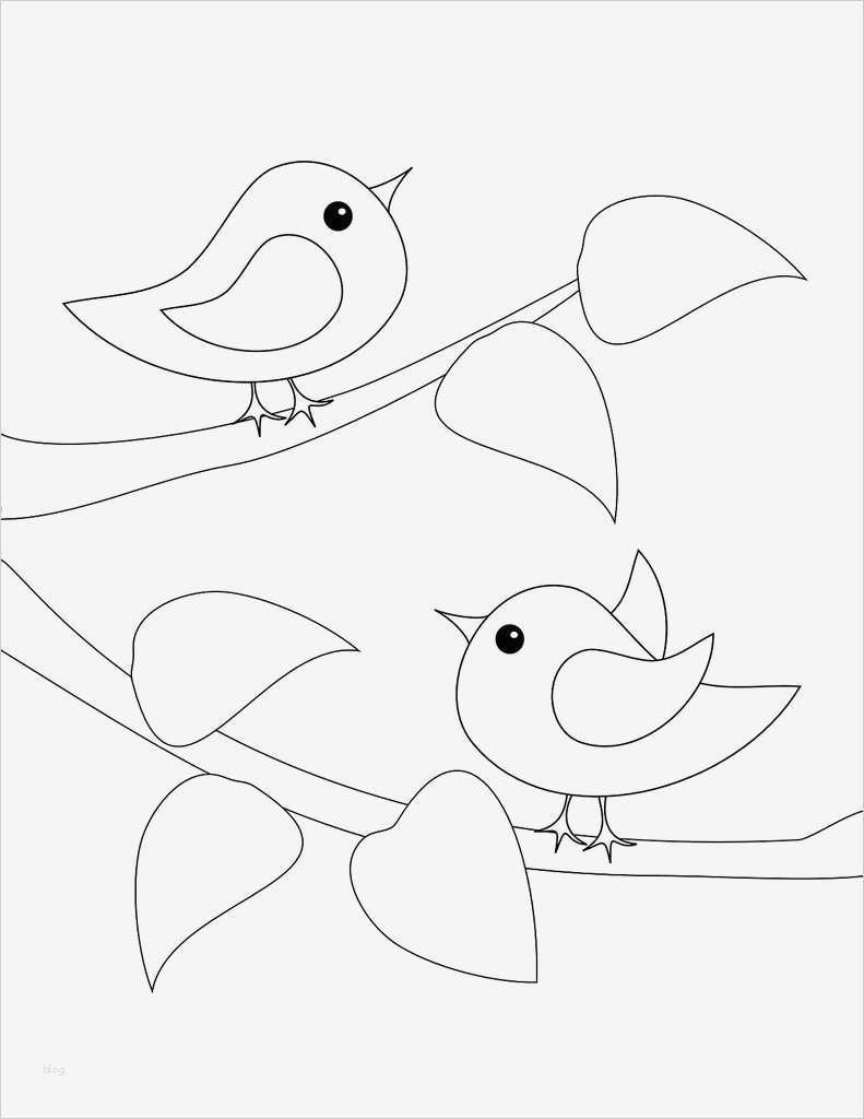 Personas Vorlage Elegant Pajaros Muy Infantiles Dibujos Pinterest