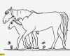 Pferd Vorlage Schön Ausmalbilder Pferde Gratis Ausmalbilder Pferde Kostenlos
