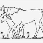 Pferd Vorlage Schön Ausmalbilder Pferde Gratis Ausmalbilder Pferde Kostenlos