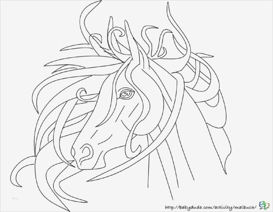 Pferdekopf Vorlage Elegant Pferdebilder Ausmalen Pferdeköpfe Ausmalbilder