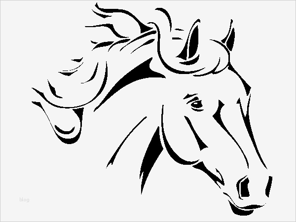 Pferdekopf Vorlage Luxus Wandtattoo Pferdekopf Kinderzimmer Tiere