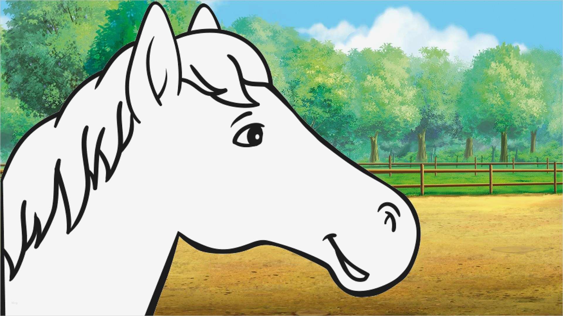 Pferdekopf Vorlage Neu Pferdekopf Vorlage