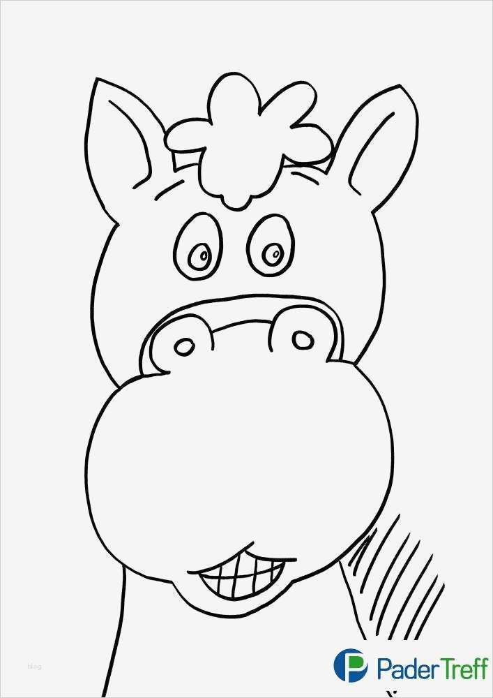 Pferdekopf Vorlage Schönste Ausmalbilder Pferdekopf Ausdrucken