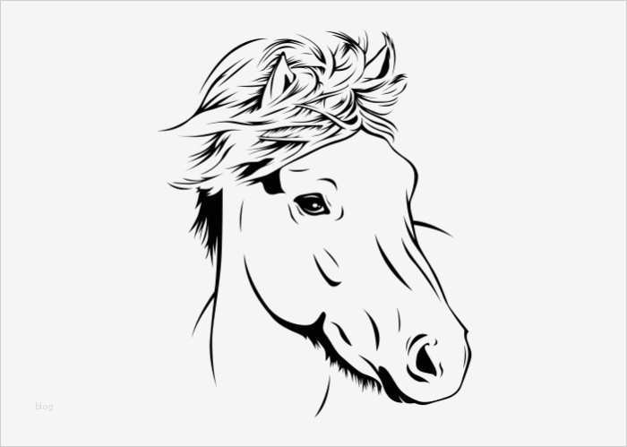 Pferdekopf Vorlage Wunderbar Wandtattoo Pferdekopf 2 Tiere