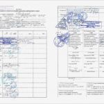 Pflanzenschutz Dokumentation Vorlage Hübsch tolle Anwendungsdokumentationsvorlage Galerie Entry