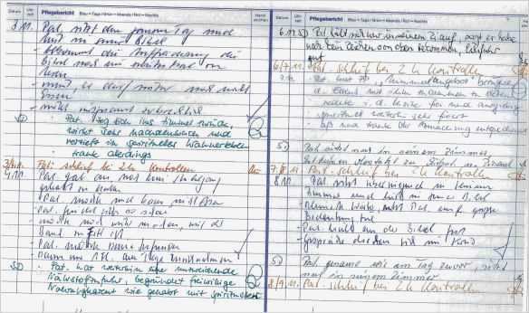 Pflegebericht Vorlage Inspiration Ungewöhnlich Pflegebericht Vorlagen Fotos