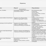 Pflegeplanung Leere Vorlage Angenehm Pflegeplanung