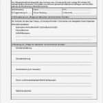 Pflegeplanung Leere Vorlage Best Of Ausgezeichnet Pflegeplan Vorlage Galerie Entry Level