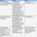Pflegeplanung Leere Vorlage Beste tolle Diabetes Pflegeplan Vorlage Ideen