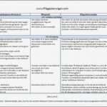 Pflegeplanung Leere Vorlage Bewundernswert Gemütlich Pflegeplan Vorlagen Ideen