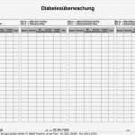 Pflegeplanung Leere Vorlage Cool Charmant Pflegeplan Vorlage Galerie Entry Level Resume