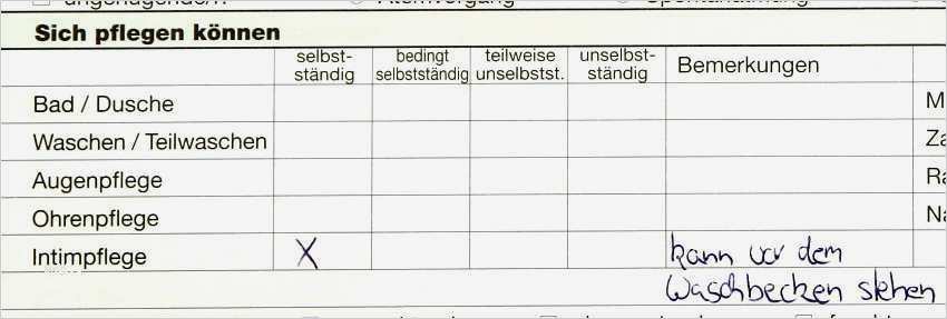Pflegeplanung Leere Vorlage Cool Ziemlich Leere Uhr Vorlage Bilder Dokumentationsvorlage