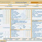 Pflegeplanung Leere Vorlage Elegant Fantastisch Muster Pflegeplan Vorlage Bilder