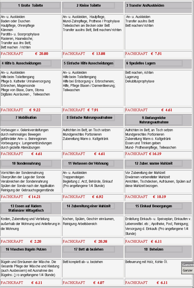 Pflegeplanung Leere Vorlage Erstaunlich Nett Pflegeplan Vorlagen Fotos Dokumentationsvorlage