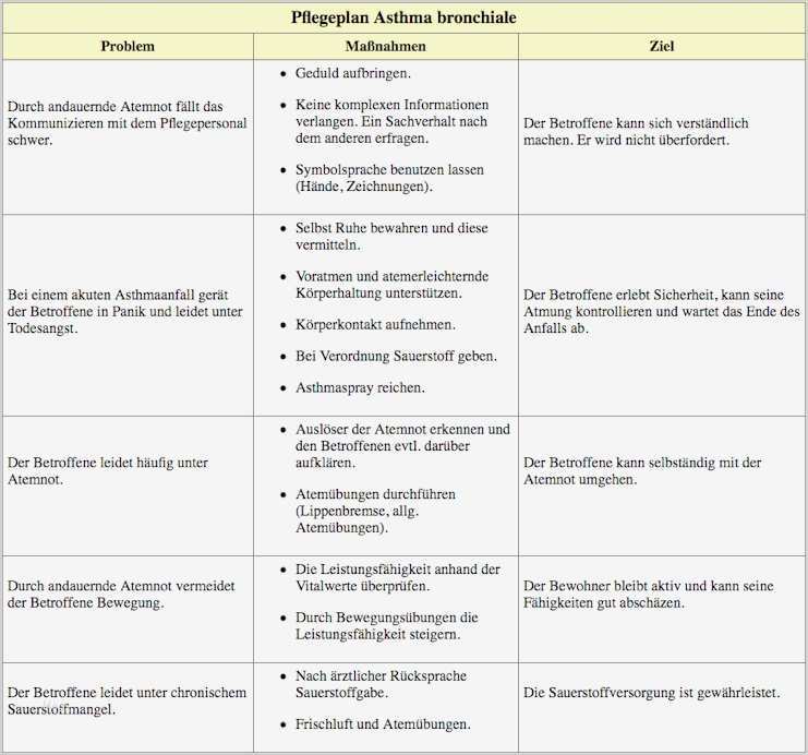 Pflegeplanung Leere Vorlage Genial Niedlich Pflegeplan Vorlagen Bilder Ideen fortsetzen