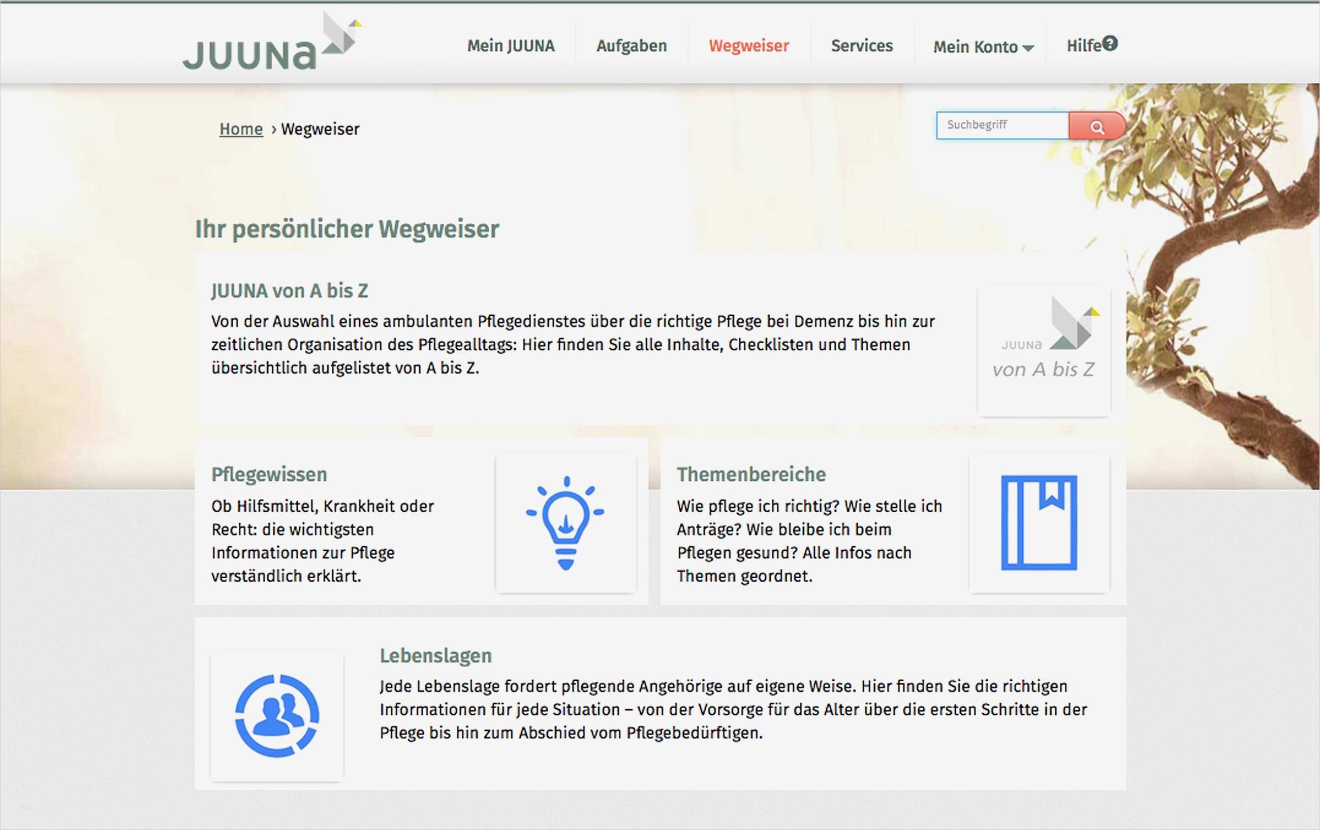 Pflegeplanung Leere Vorlage Großartig Groß Persönliche Pflegeplan Vorlage Fotos Entry Level