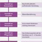 Pflegeplanung Leere Vorlage Gut Fantastisch Muster Pflegeplan Vorlage Bilder