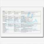 Pflegeplanung Leere Vorlage Neu Großzügig Diabetes Pflegeplan Vorlage Ideen Entry Level