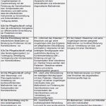 Pflegeplanung Leere Vorlage Wunderbar Fantastisch Muster Pflegeplan Vorlage Bilder