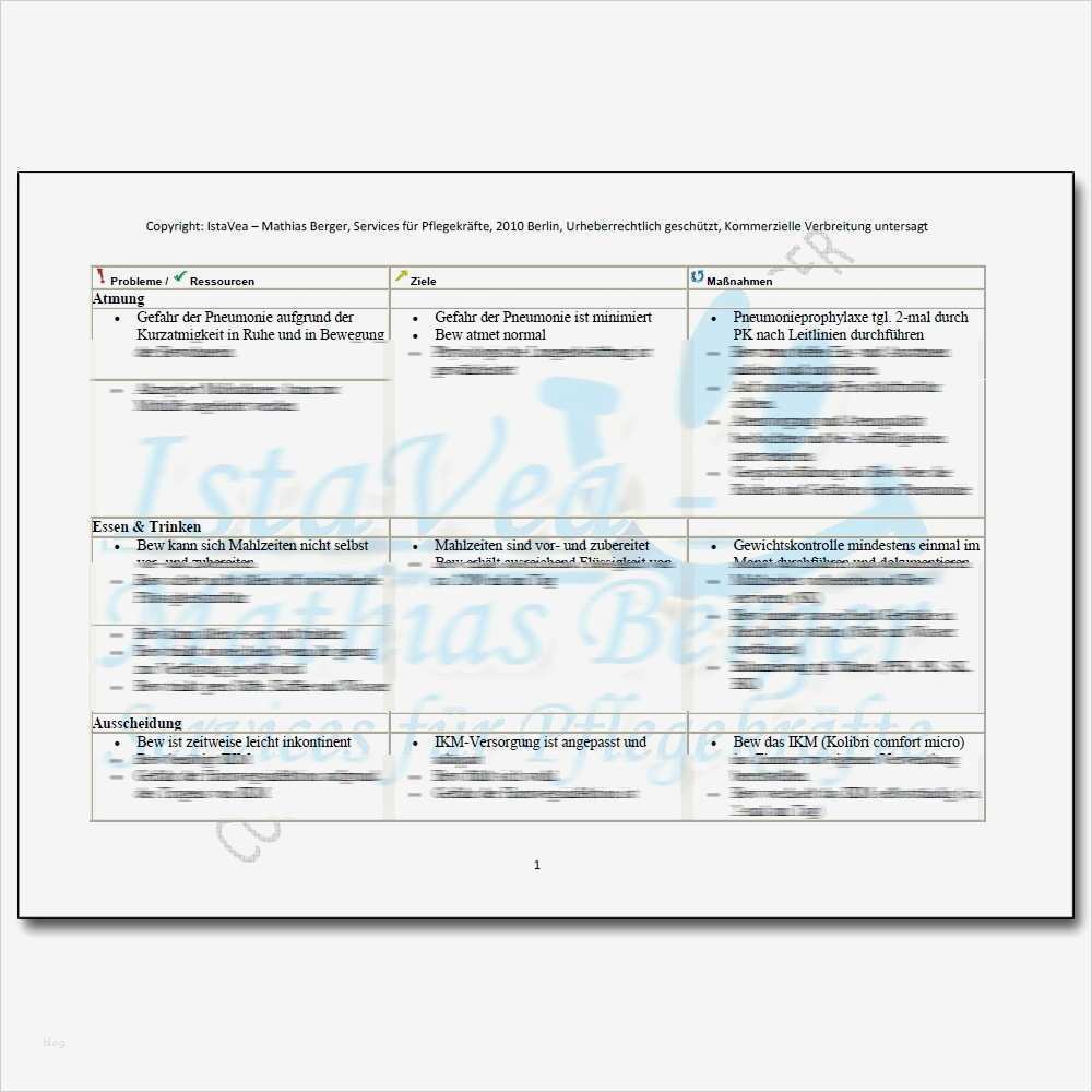 Pflegeplanung Leere Vorlage Wunderbar Großartig Kostenlose Pflegeplan Vorlage Bilder Beispiel