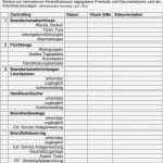 Pflichtenheft Vorlage Bewundernswert Pflichtenheft Projektmanagement Vorlage Inspiration