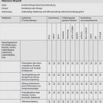 Pflichtenheft Vorlage Luxus Lasten Pflichtenheft Beispiel Essay Application Essay