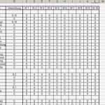 Pflichtenheft Vorlage Süß Beschaffung