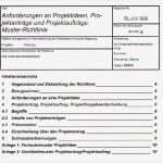 Pflichtenheft Vorlage Word Gut Projektideen Projektanträge Projektaufträge