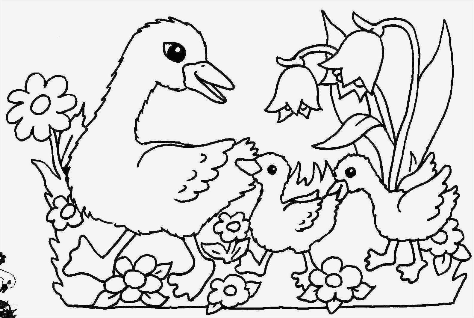 Photo Booth Vorlagen Zum Ausdrucken Kostenlos Cool Malvorlagen Fur Kinder Ausmalbilder Fruhling Kostenlos